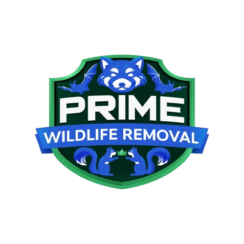 Wildlife Removal Crawford County